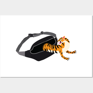 tiger coming out of a waist bag Posters and Art